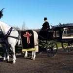 funeral white horse black hearse