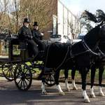Funerals black horses Luton