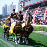 Other-Events---Hong-Kong---Races